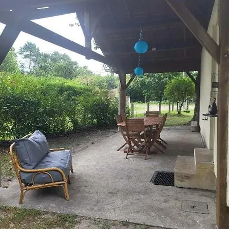 Holiday home La Petite Landaise Sanguinet