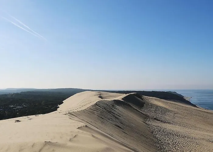 La Petite Landaise Hébergement de vacances